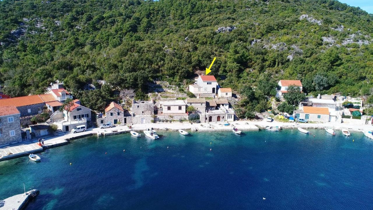 Apartment Belin Mljet Okuklje Екстериор снимка