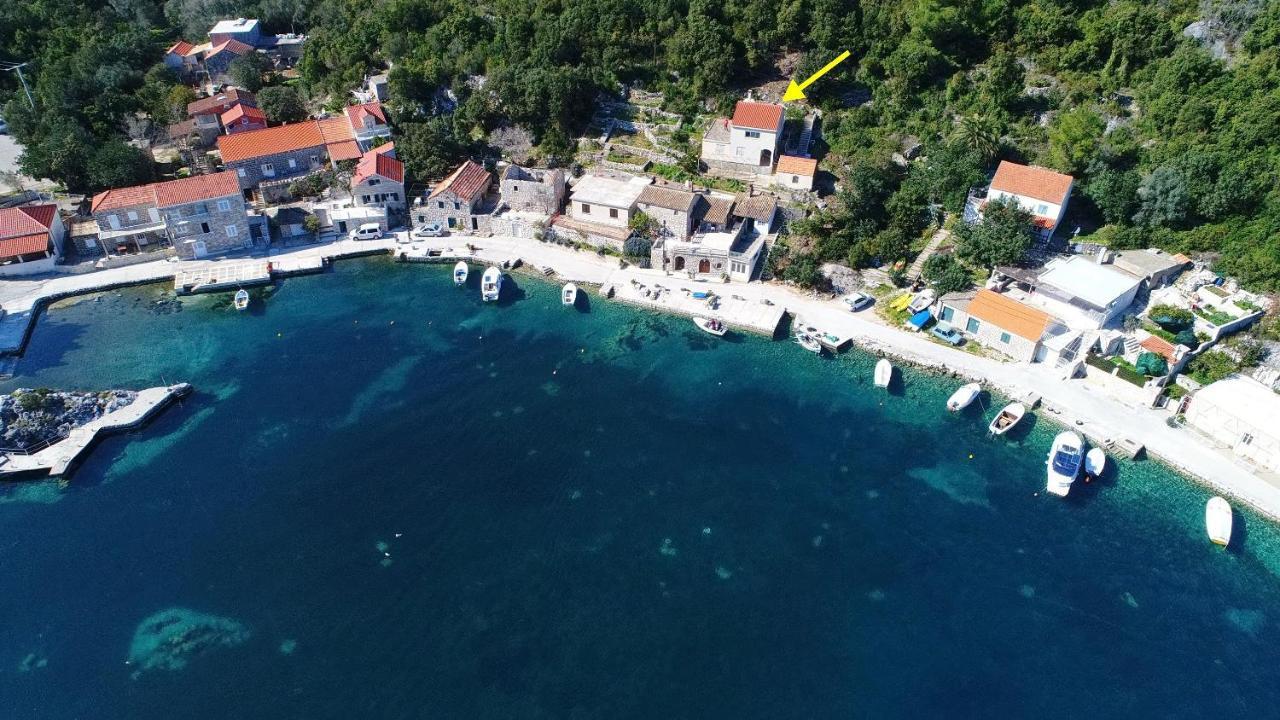Apartment Belin Mljet Okuklje Екстериор снимка