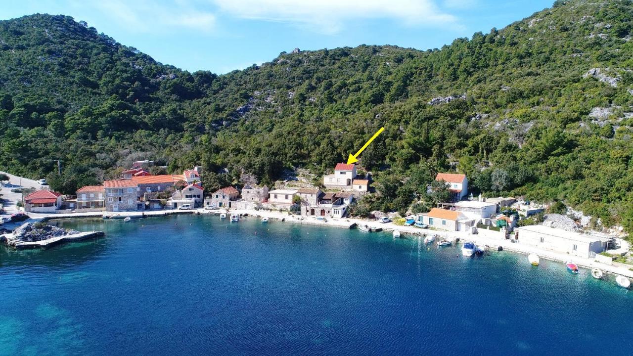 Apartment Belin Mljet Okuklje Екстериор снимка